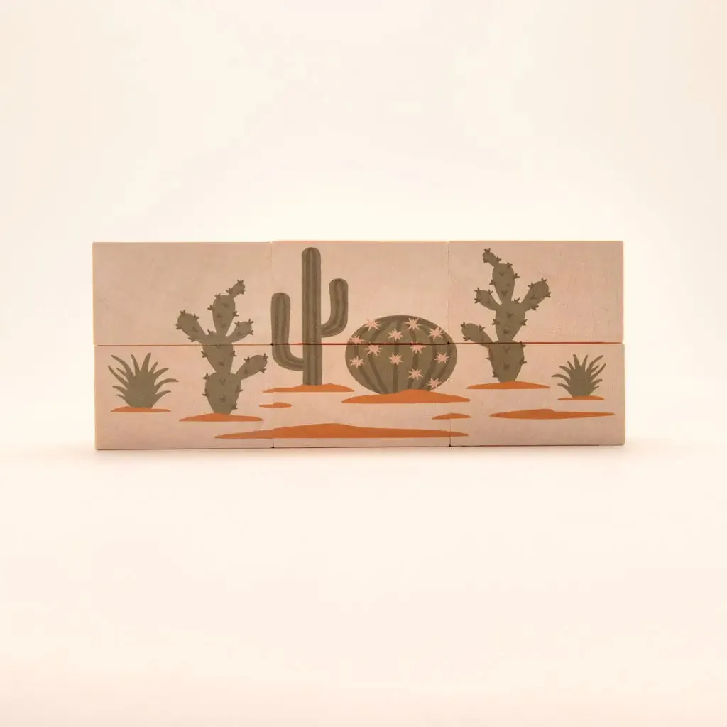 Environments Desert Blocks